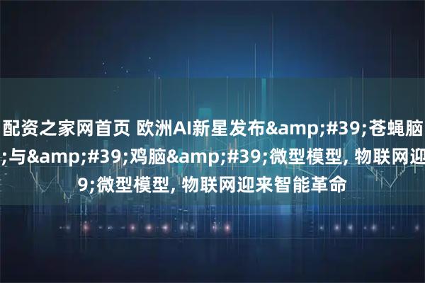 配资之家网首页 欧洲AI新星发布&#39;苍蝇脑&#39;与&#39;鸡脑&#39;微型模型, 物联网迎来智能革命
