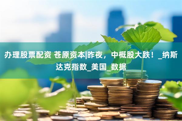 办理股票配资 苍原资本|昨夜，中概股大跌！_纳斯达克指数_美国_数据