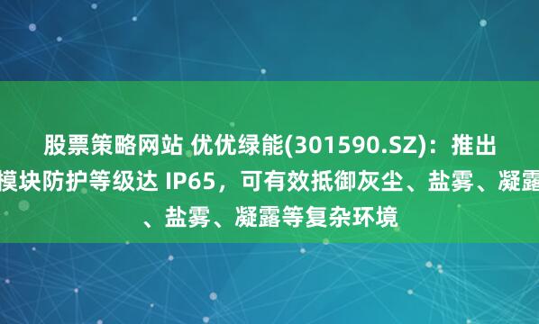 股票策略网站 优优绿能(301590.SZ)：推出的液冷充电模块防护等级达 IP65，可有效抵御灰尘、盐雾、凝露等复杂环境