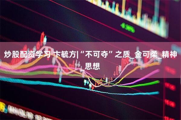 炒股配资学习 卞毓方|“不可夺”之质_金可柔_精神_思想