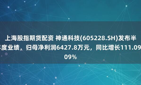 上海股指期货配资 神通科技(605228.SH)发布半年度业绩，归母净利润6427.8万元，同比增长111.09%