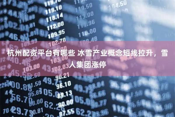 杭州配资平台有哪些 冰雪产业概念短线拉升，雪人集团涨停