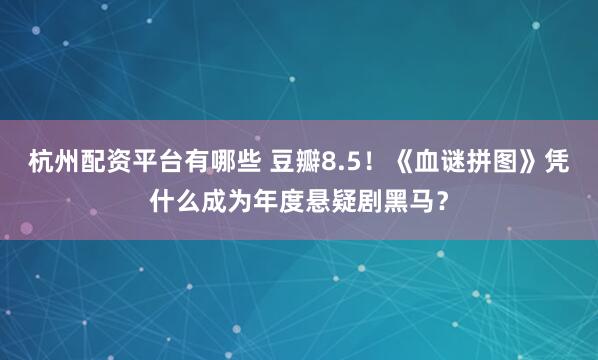 杭州配资平台有哪些 豆瓣8.5！《血谜拼图》凭什么成为年度悬疑剧黑马？